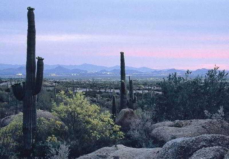 Residence Inn Scottsdale North Zewnętrze zdjęcie